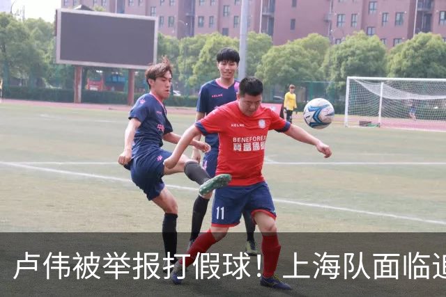 卢伟被举报打假球！上海队面临追罚，张镇麟坑惨球队